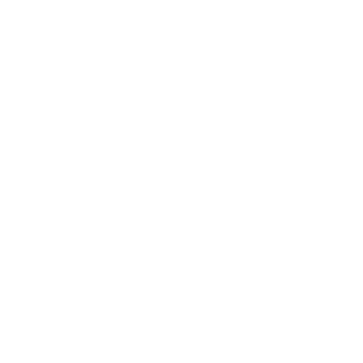 CBR 250R logo